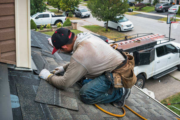 Professional Metal Roofing technician working in Campus, IL